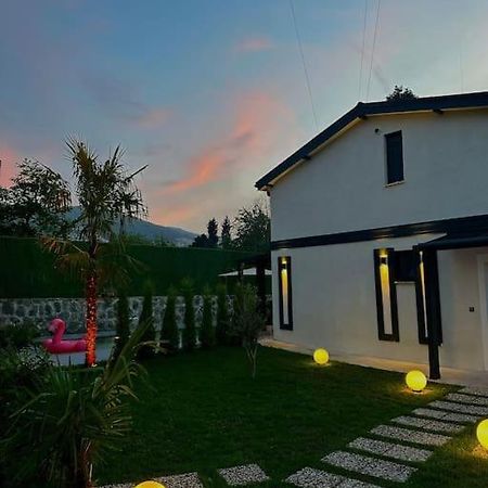 Shino Sapanca'Da Sicak Havuzlu Tatil Keyfi! Villa Eksteriør billede