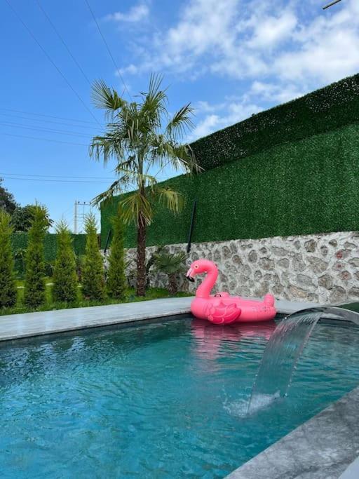 Shino Sapanca'Da Sicak Havuzlu Tatil Keyfi! Villa Eksteriør billede